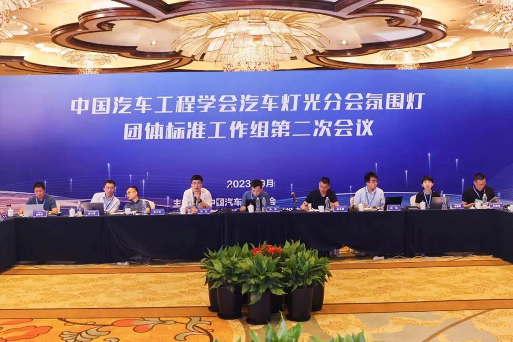 中国汽车工程学会汽车灯光分会氛围灯团体标准工作组第二次会议在宁波圆满召开(图2)