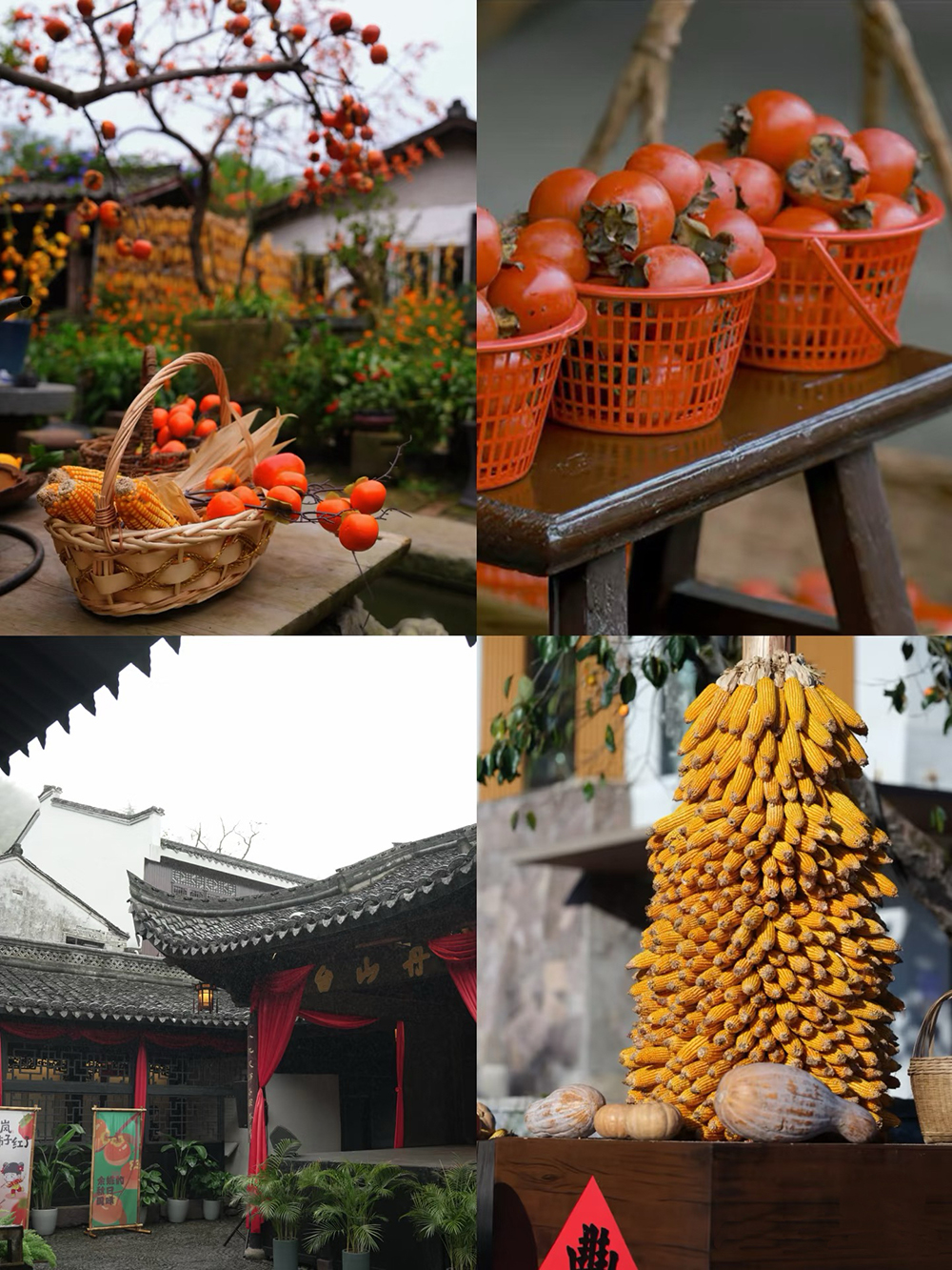 踏秋四明山，聚力向未来 | 我们的四明山柿林村徒步之旅(图3)