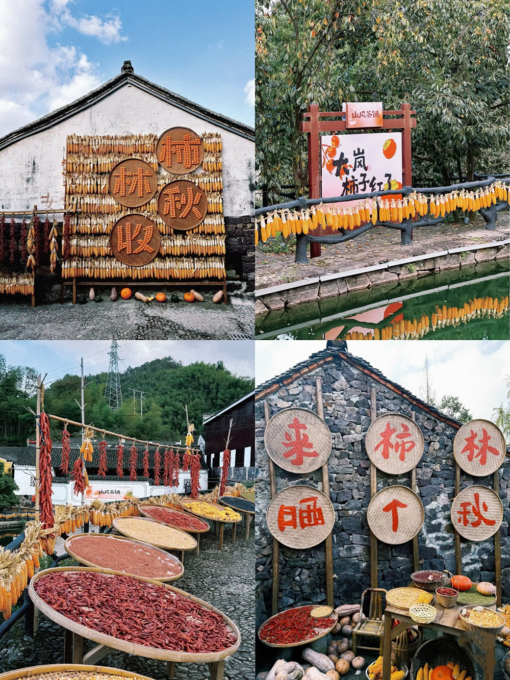 踏秋四明山，聚力向未来 | 我们的四明山柿林村徒步之旅(图2)